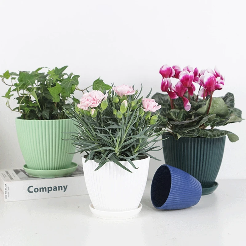 Vaso rotondo in vaso succulent - Japanese Garden Bonsai recensione e prezzo