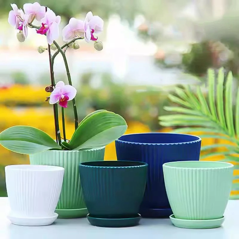 Vaso rotondo in vaso succulent - Japanese Garden Bonsai recensione e prezzo