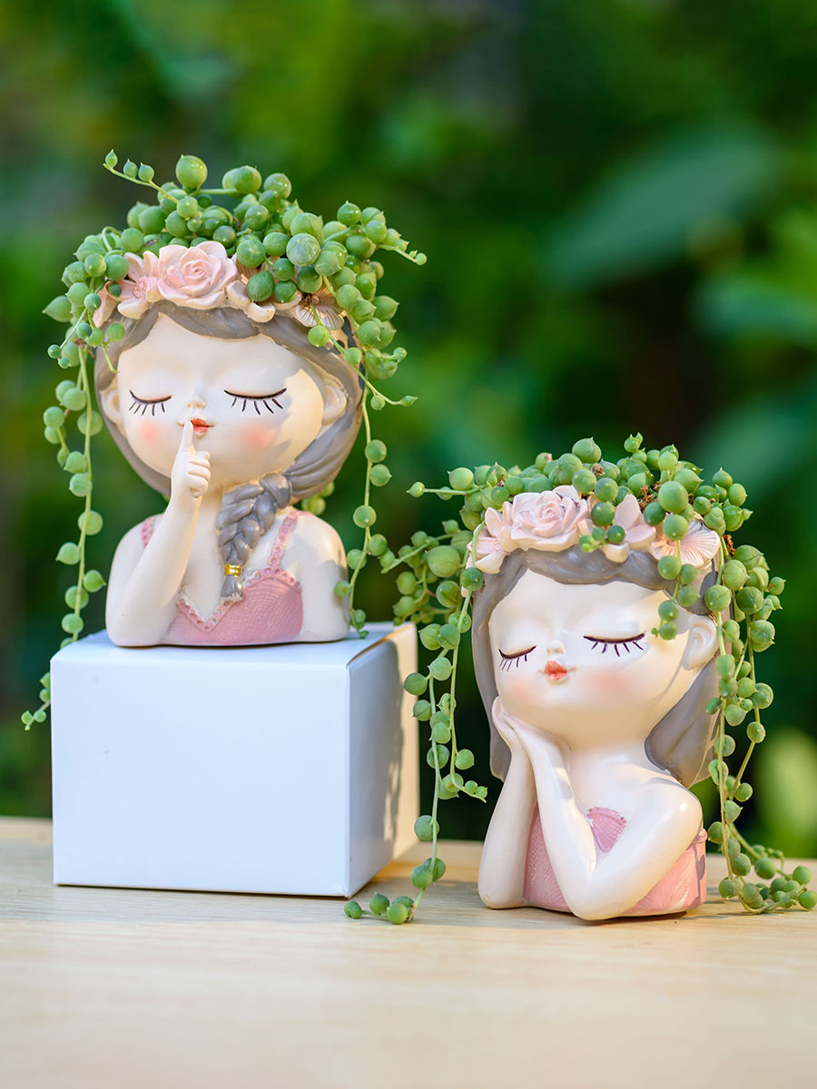 Fata Piante grasse Fioriere Va - Japanese Garden Bonsai recensione e prezzo
