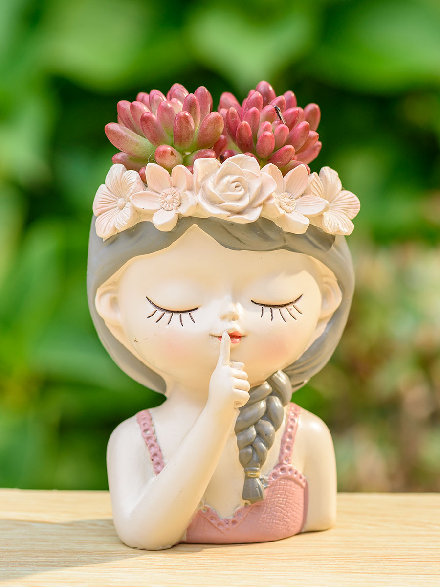 Fata Piante grasse Fioriere Va - Japanese Garden Bonsai recensione e prezzo