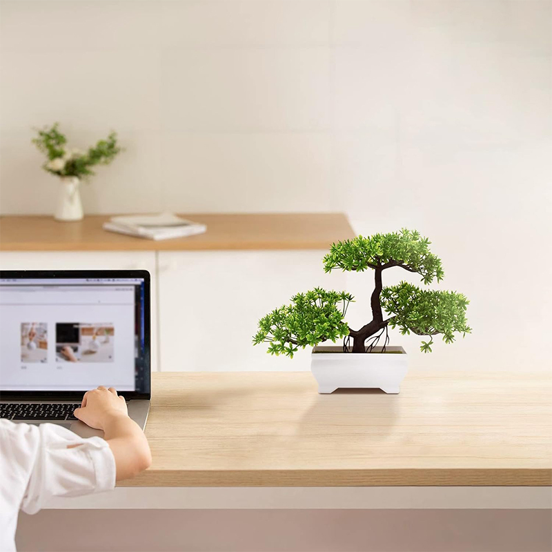 Pianta finta bionica in plasti - Bonsai Garden For Desk recensione e prezzo