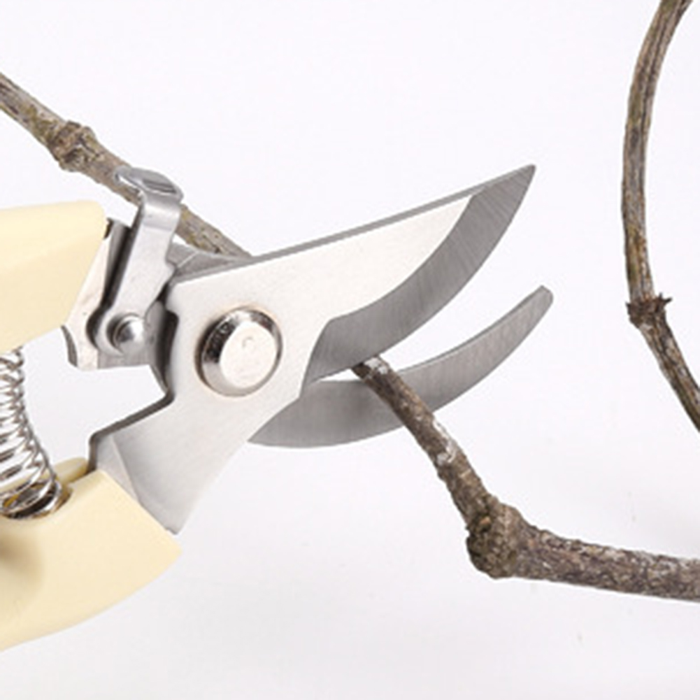 Cesoie da potatura Utensili ma - Bonsai Garden Rake recensione e prezzo