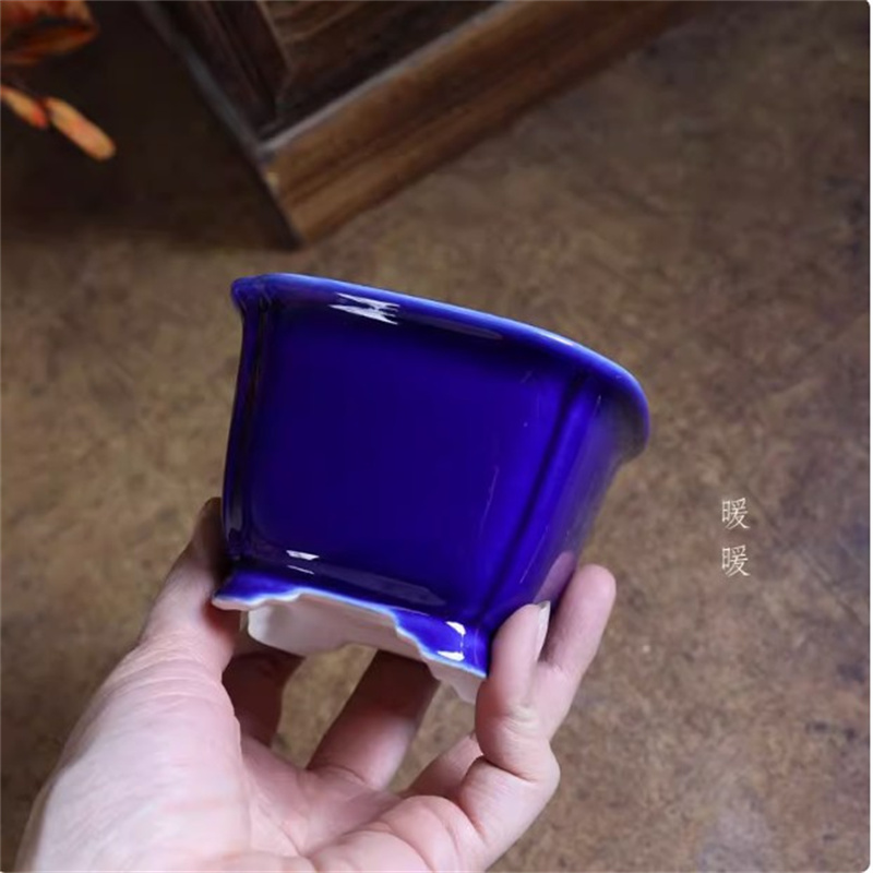 Vaso bonsai in porcellana quad - Bonsai Garden For Desk recensione e prezzo