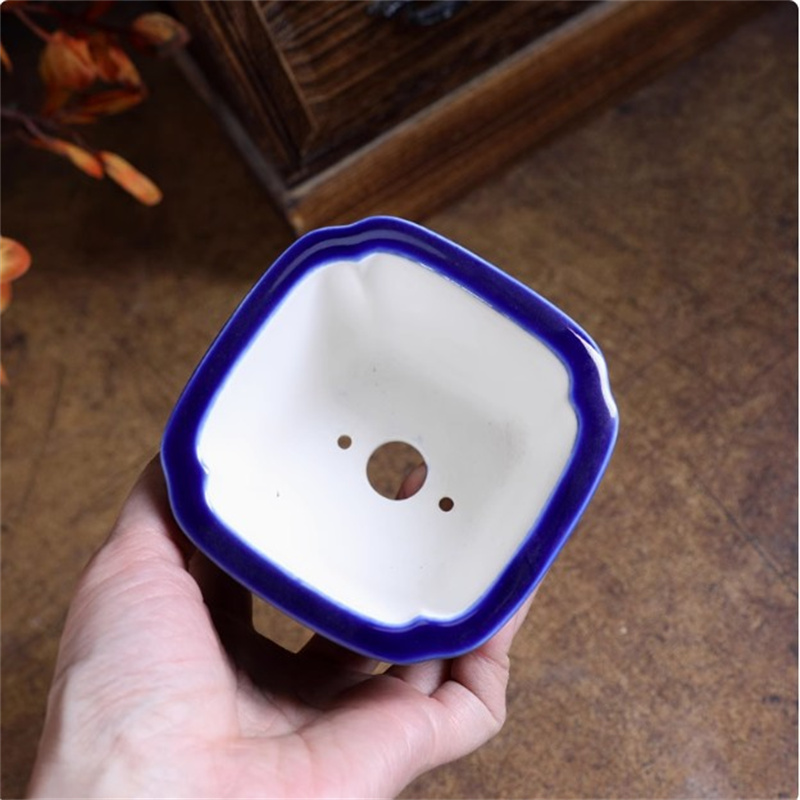 Vaso bonsai in porcellana quad - Bonsai Garden For Desk recensione e prezzo