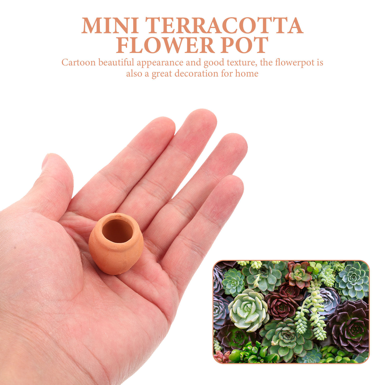 Set di 8 Mini Vasi in Ceramica - Bonsai Garden For Desk recensione e prezzo