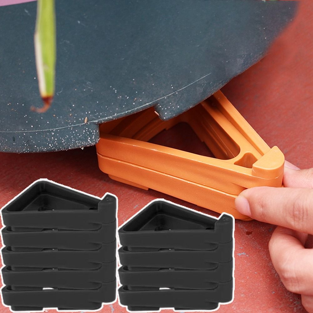 Supporto per Bonsai da Interno - Bonsai Garden Display recensione e prezzo