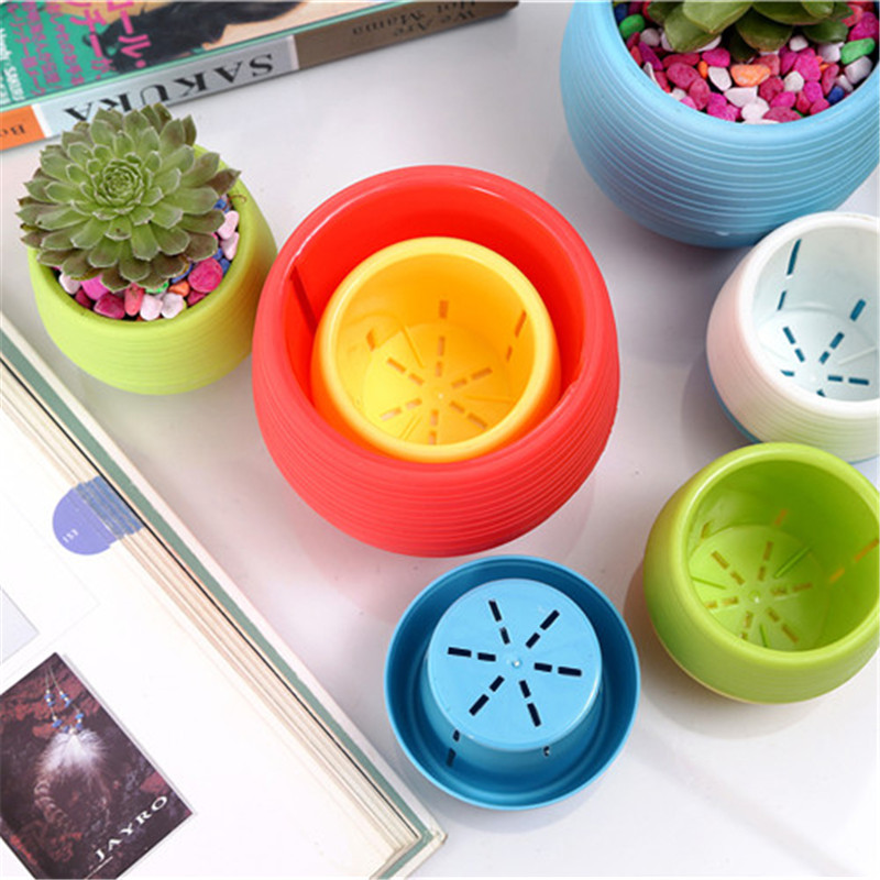 Mini vasi da fiori in plastica - Bonsai Garden Europe recensione e prezzo