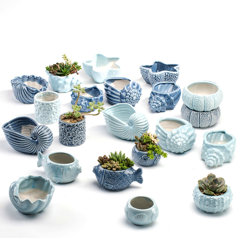 Vaso per Piante Grasse in Stil - Bonsai Garden Europe recensione e prezzo