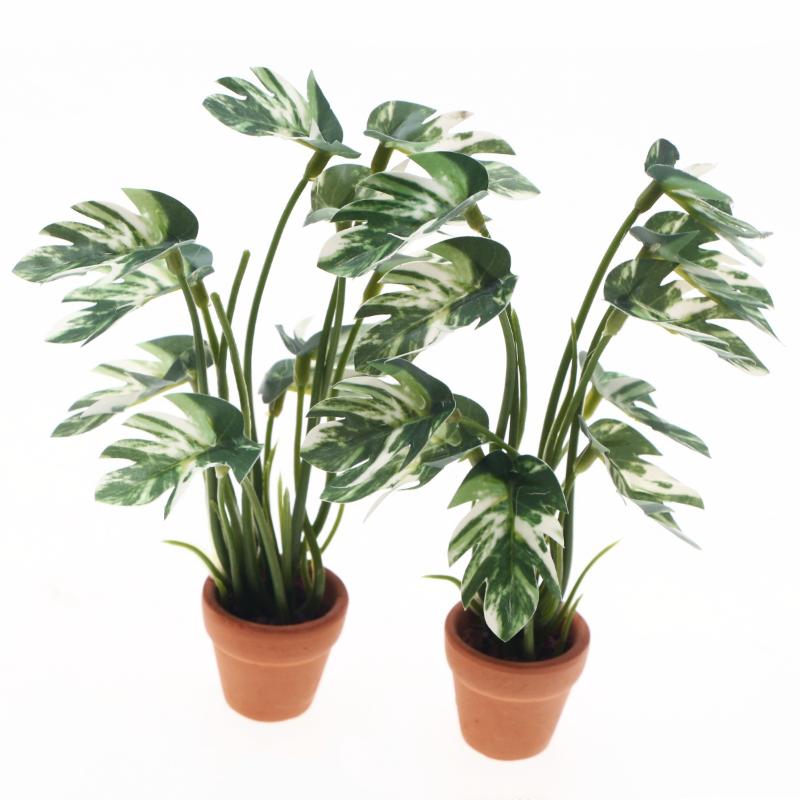Nuovo. 1 Pezzo Pianta Verde Mo - Bonsai Garden Pot recensione e prezzo