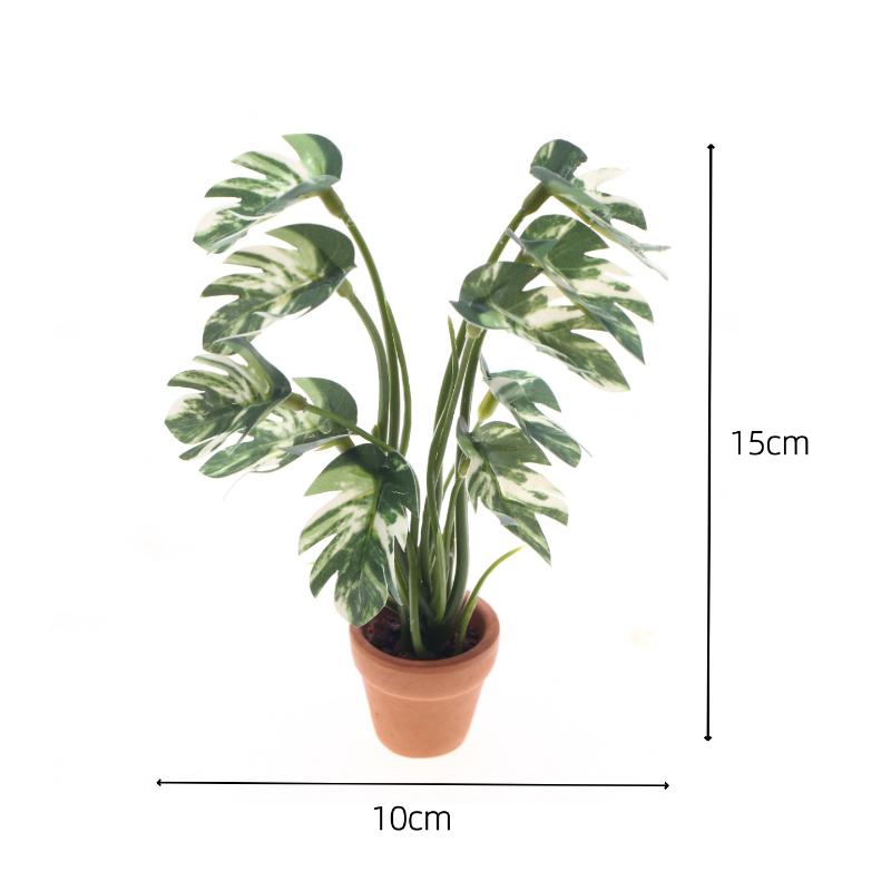 Nuovo. 1 Pezzo Pianta Verde Mo - Bonsai Garden Pot recensione e prezzo