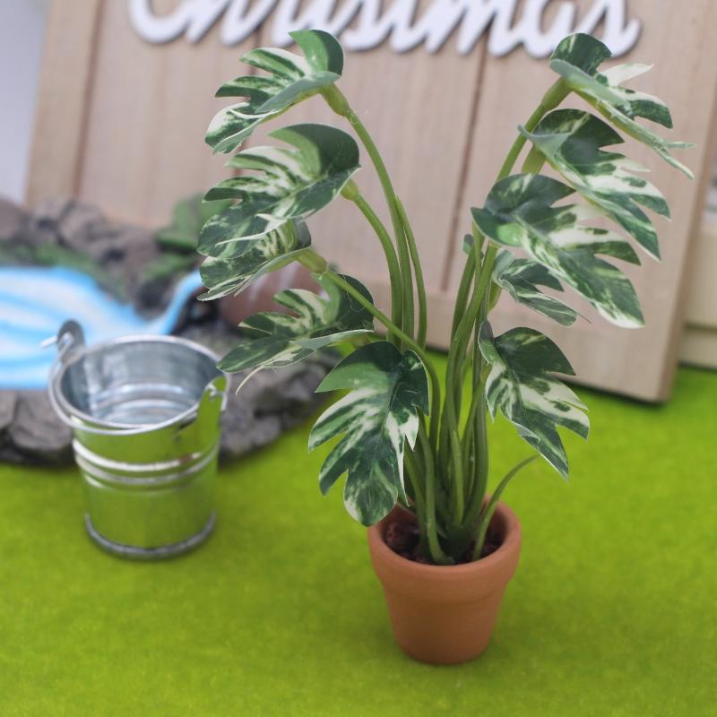 Nuovo. 1 Pezzo Pianta Verde Mo - Bonsai Garden Pot recensione e prezzo