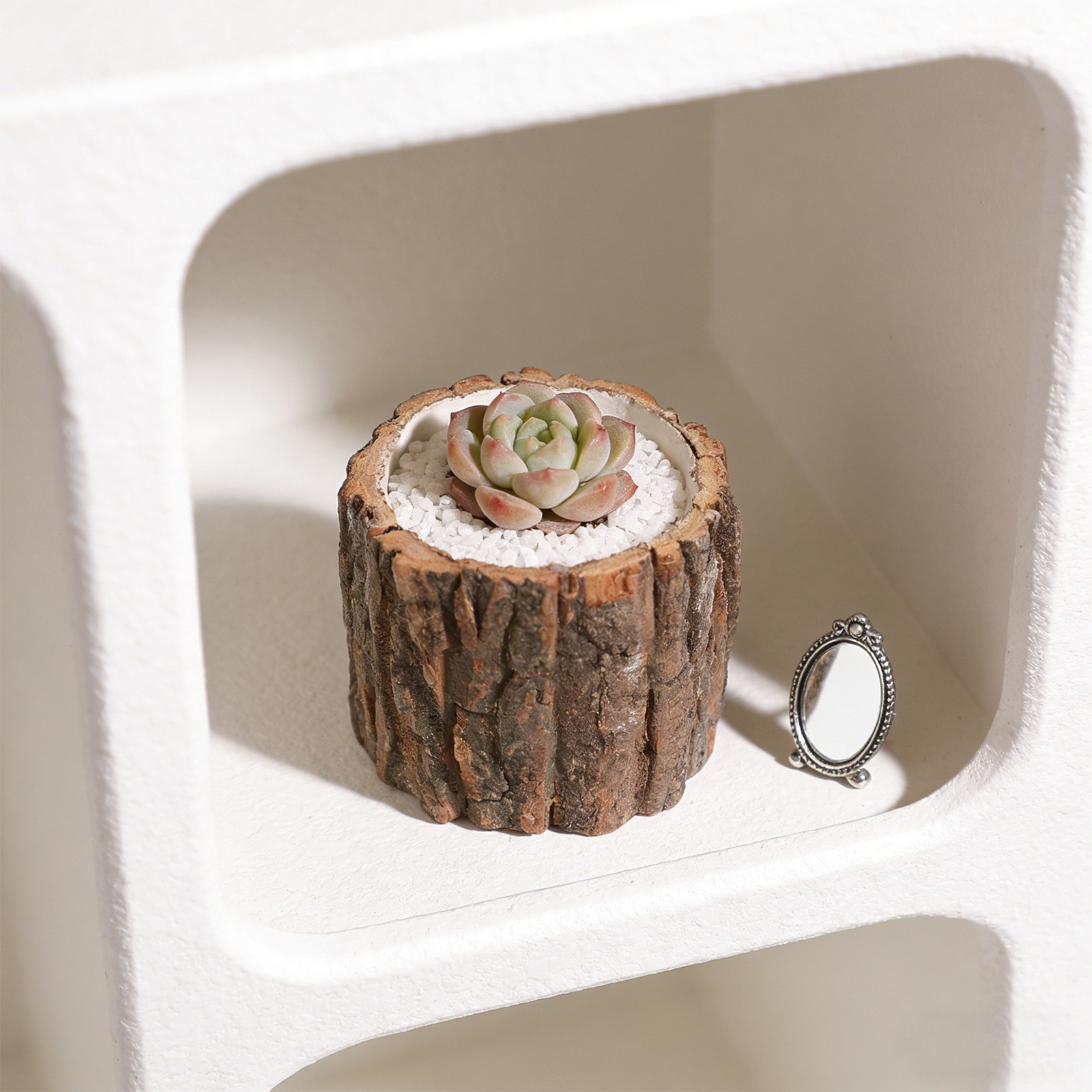 Vaso per Fiori a Forma di Cepp - Bonsai Garden For Desk recensione e prezzo