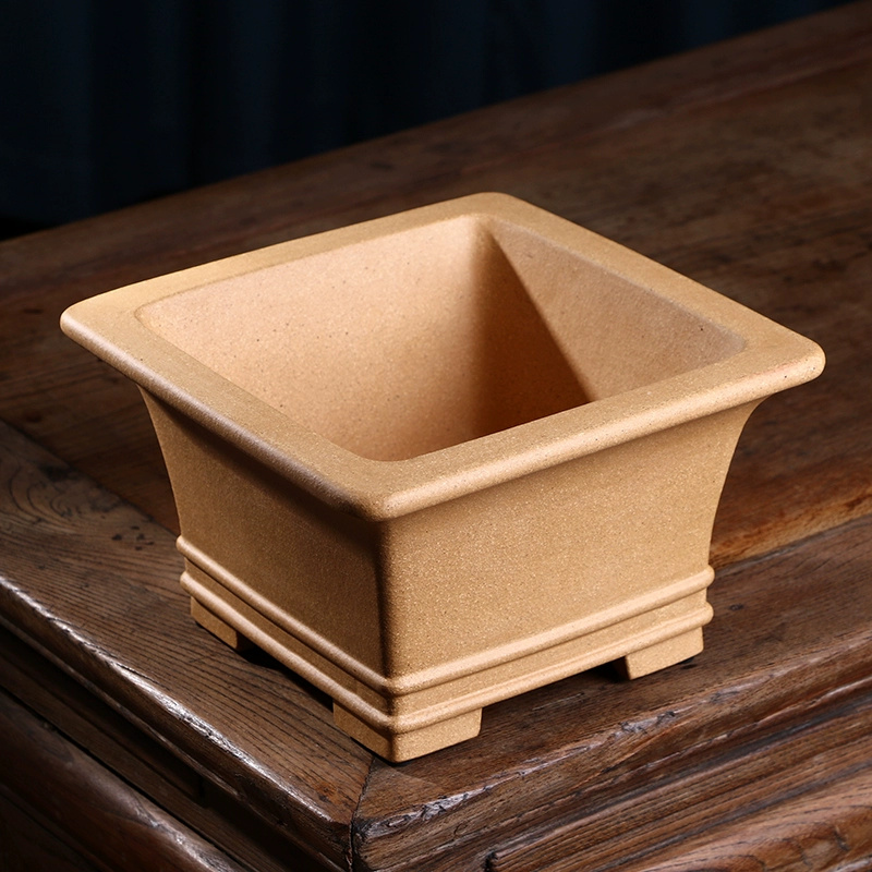 Vaso Bonsai quadrato di sabbia - Bonsai Garden For Desk recensione e prezzo