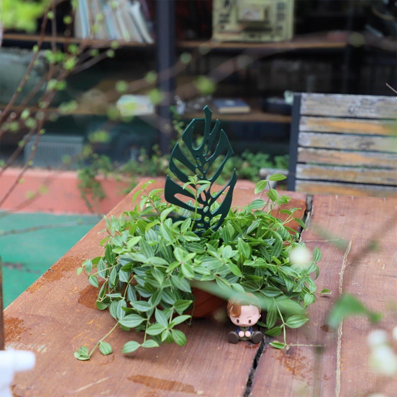 Supporto per piante rampicanti - Bonsai Garden Pot recensione e prezzo