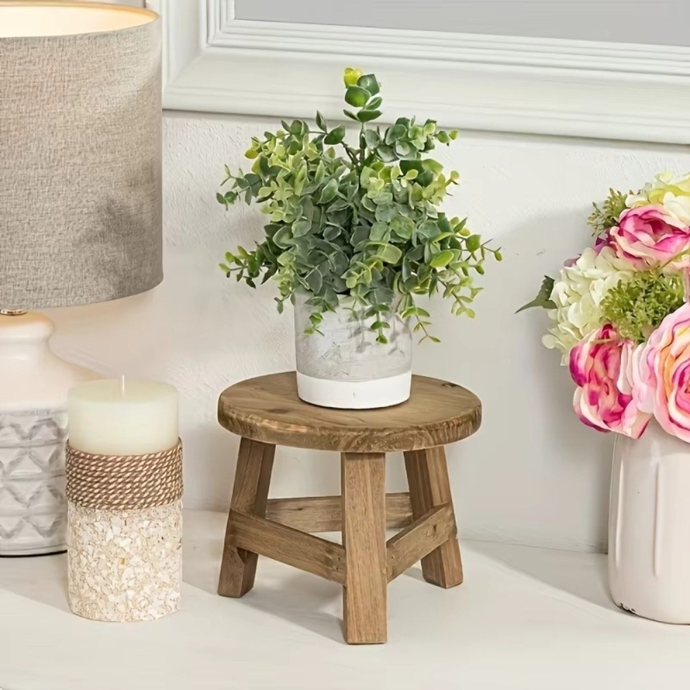 Espositore Moderno per Bonsai, - Bonsai Garden Display recensione e prezzo