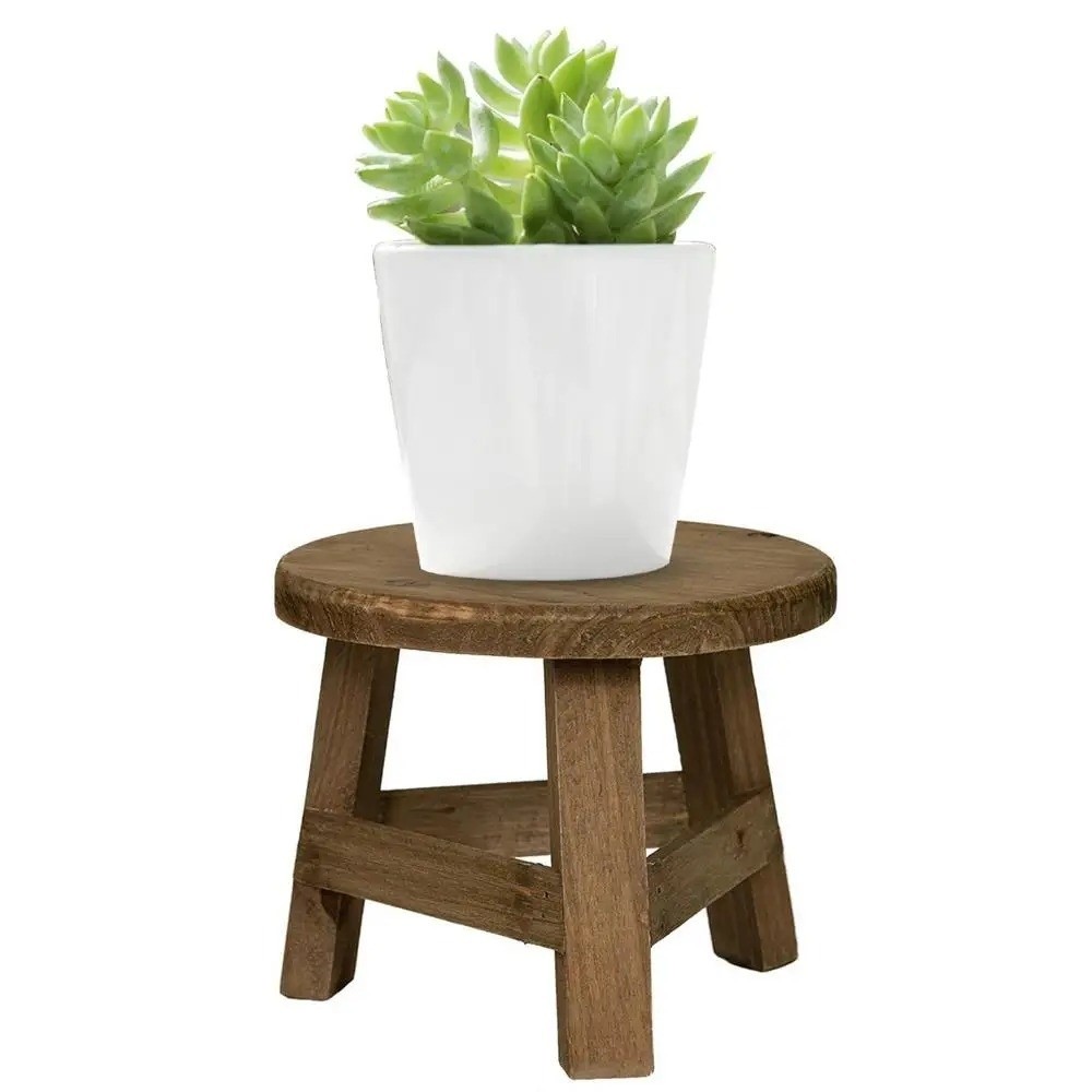 Espositore Moderno per Bonsai, - Bonsai Garden Display recensione e prezzo
