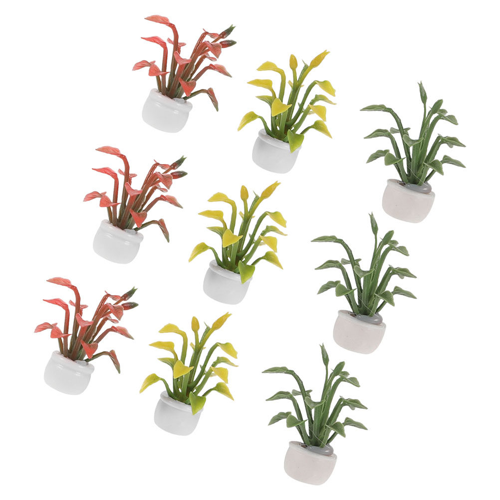 9 Pezzi di Piante in Vaso in R - Bonsai Garden For Desk recensione e prezzo
